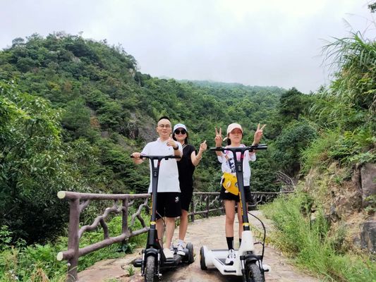 250W Foot Running 3 Wheel Foldable Electric Scooter
